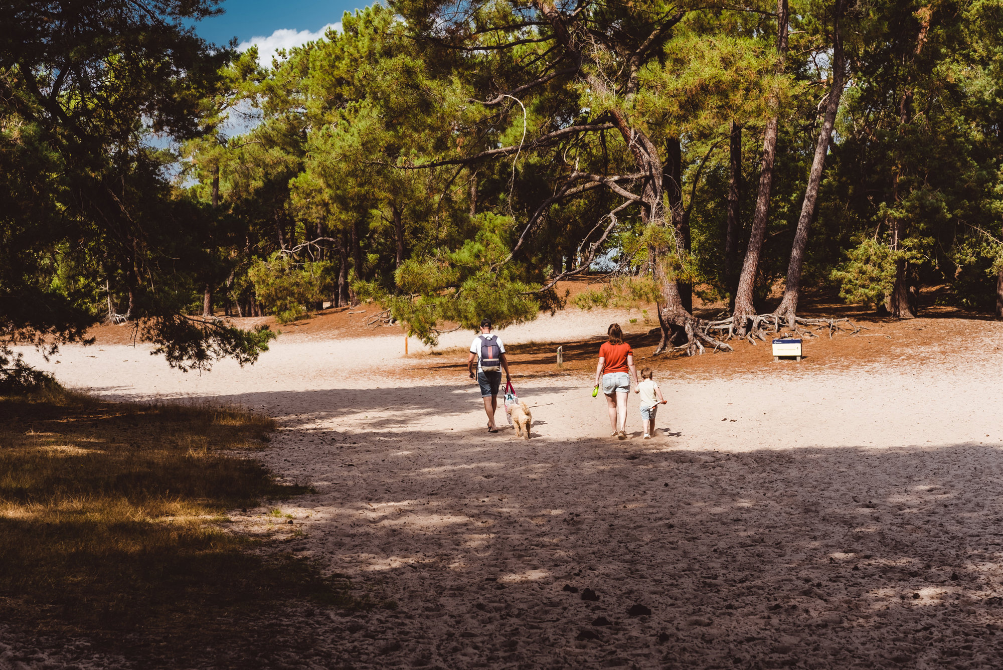 Summio Vakantiepark Schaijk sfeerfoto 4