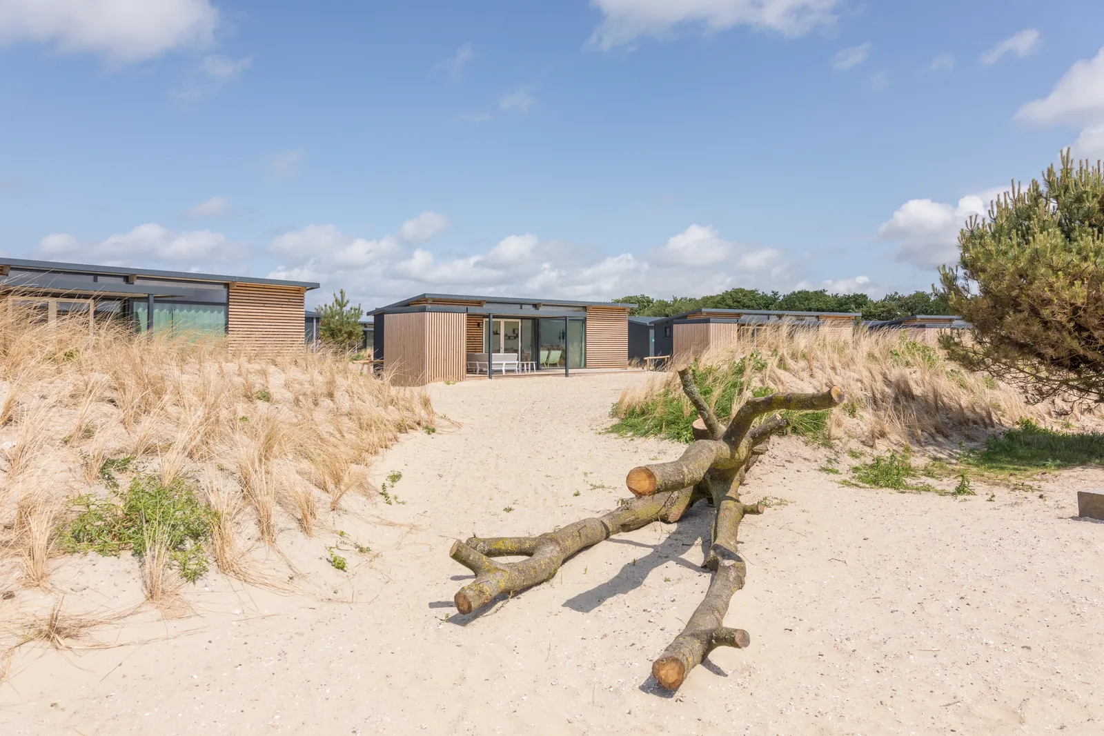 Landal Ameland sfeerfoto 5
