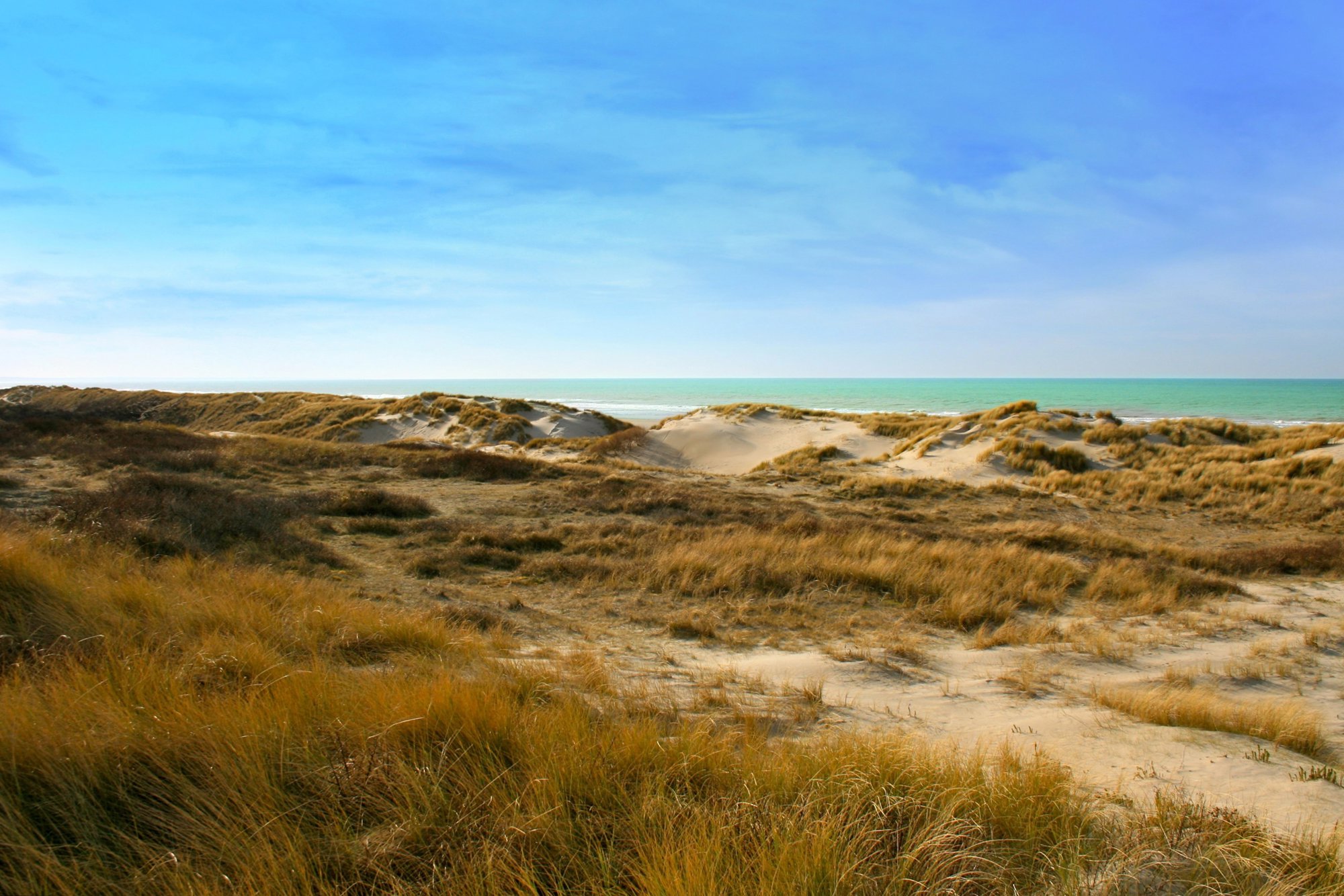 Dormio Resort Berck-sur-Mer sfeerfoto 5
