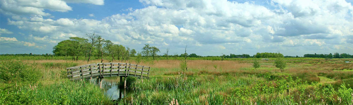 Molecaten Park 't Hout sfeerfoto 4