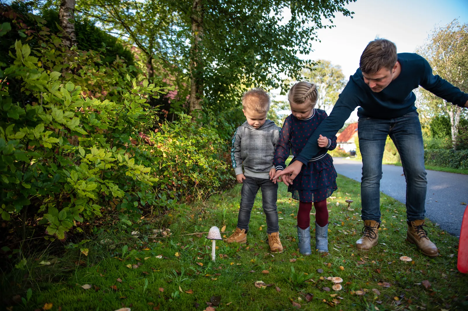 Landal Natuurdorp Suyderoogh sfeerfoto 5