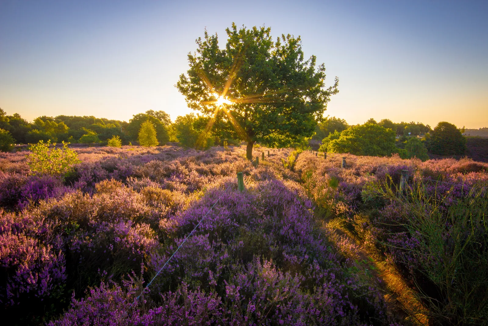 Landal Hunerwold State sfeerfoto 4