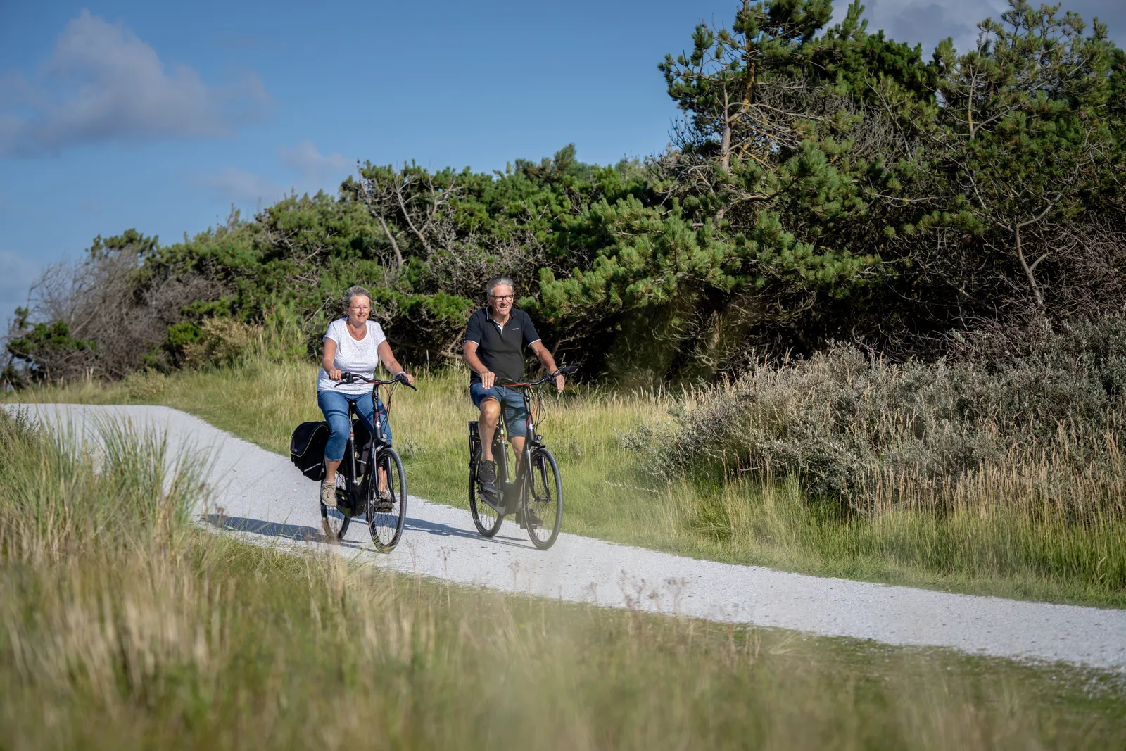Landal Ameland State sfeerfoto 3