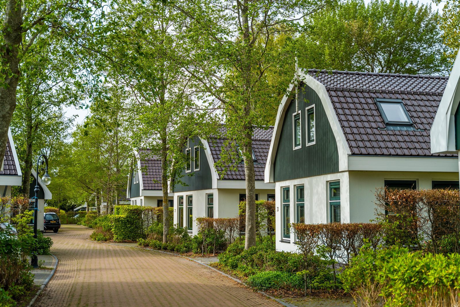 Europarcs Koningshof sfeerfoto 2