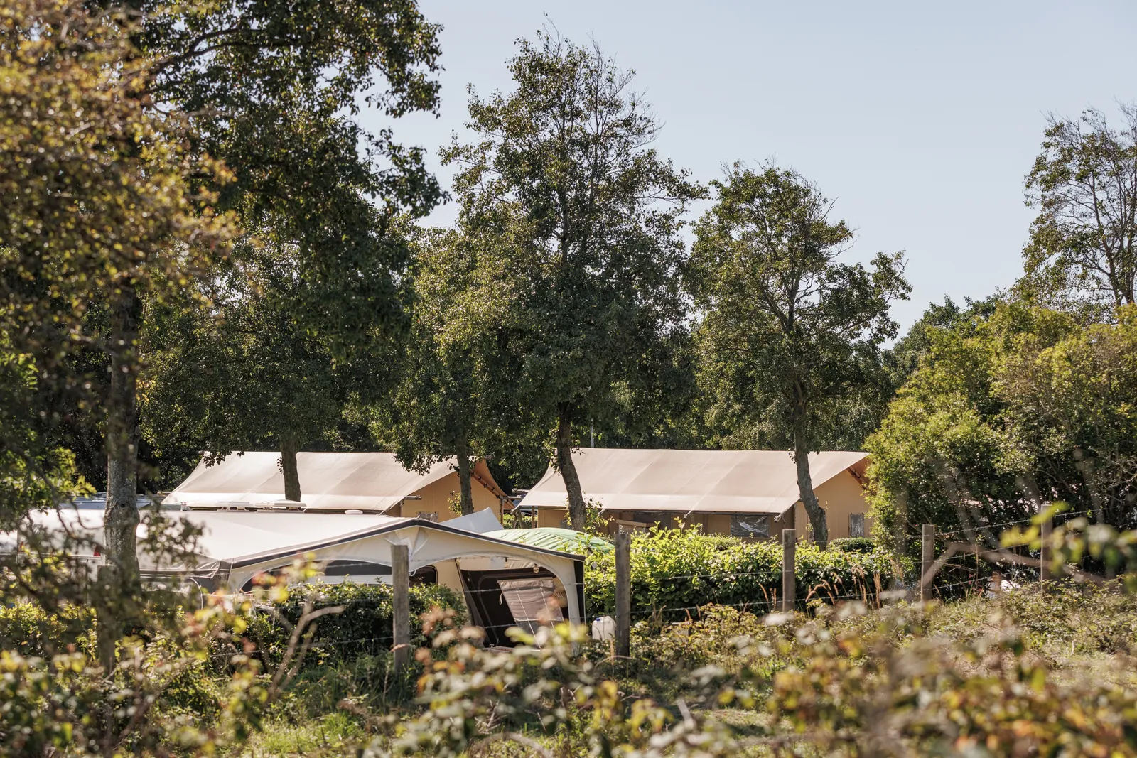 Landal Camping De Zandput sfeerfoto 5