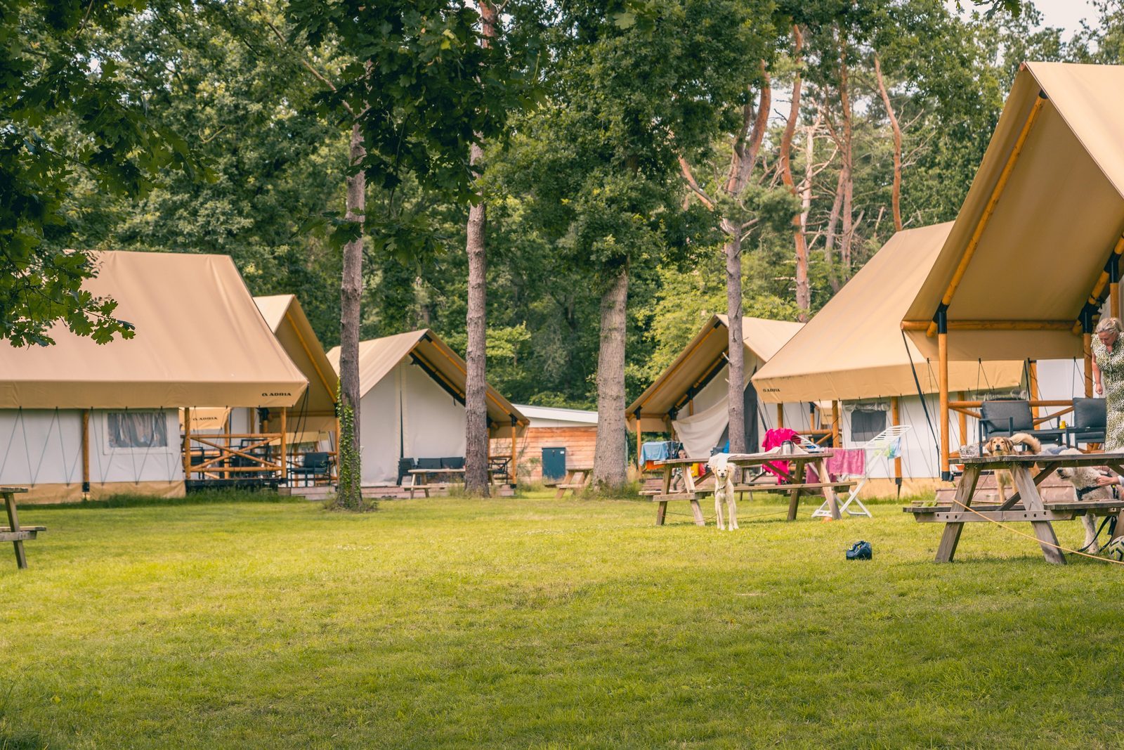 Europarcs Reestervallei sfeerfoto 5