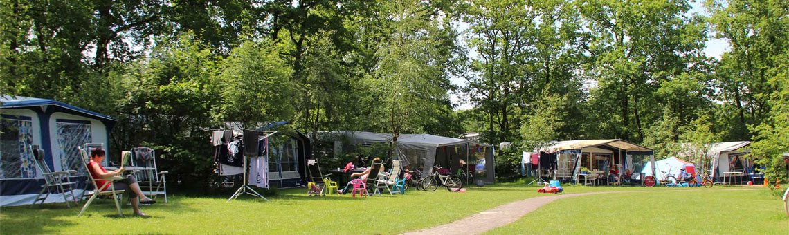 Molecaten Park 't Hout sfeerfoto 2