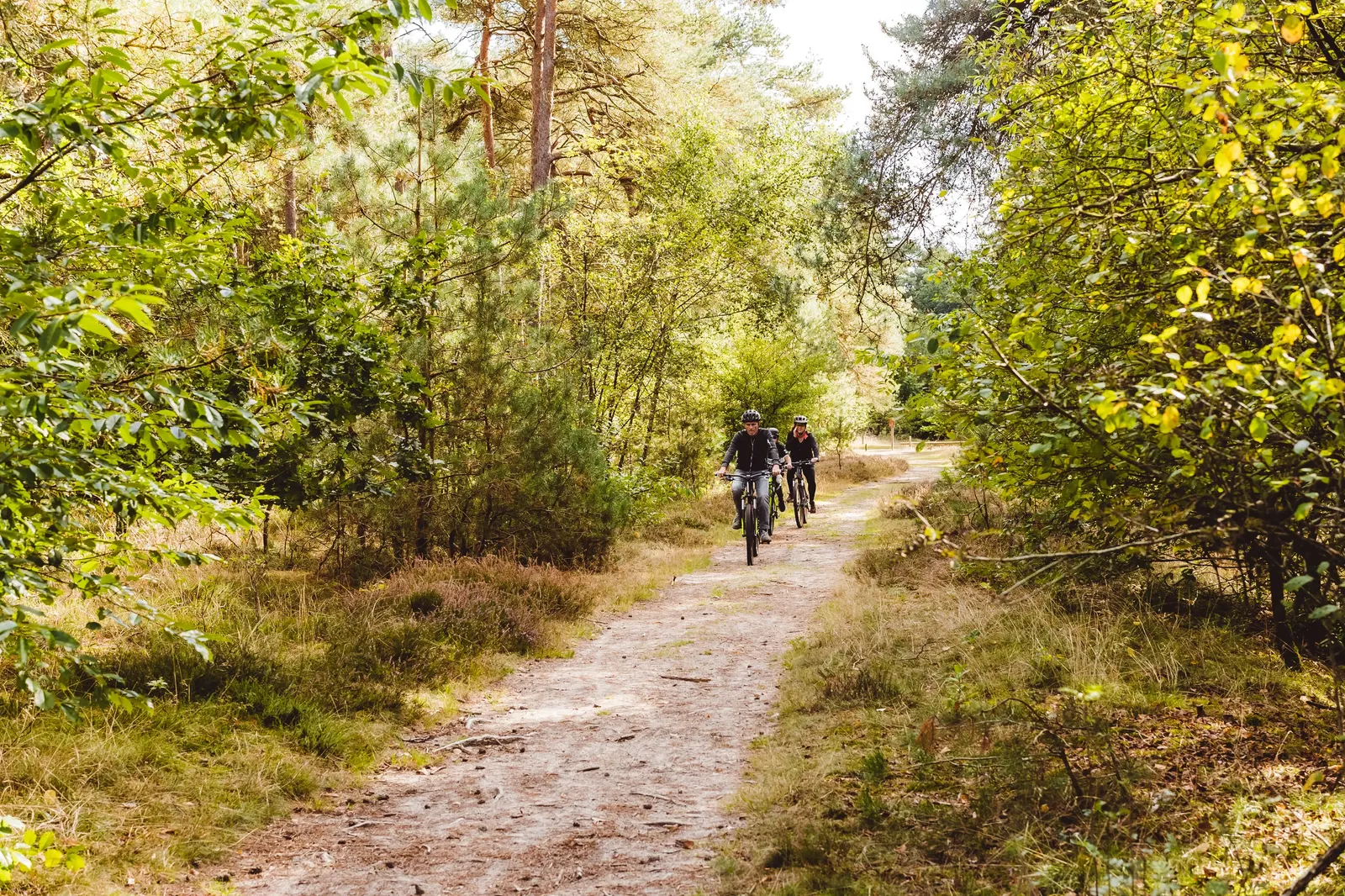 Landal Bos en Duin sfeerfoto 4
