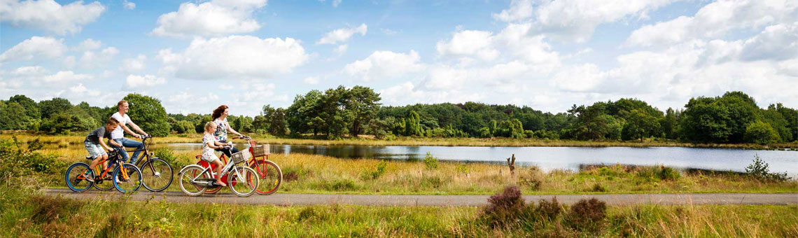 Molecaten Park 't Hout sfeerfoto 3
