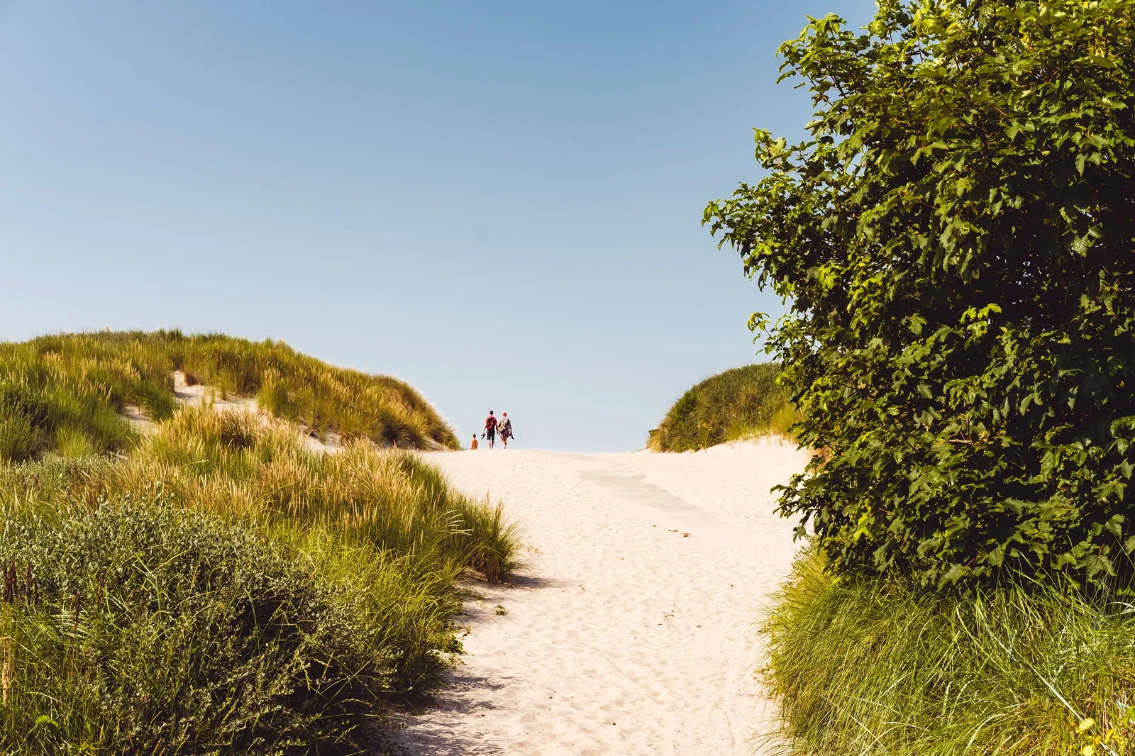 Landal Ameland sfeerfoto 2