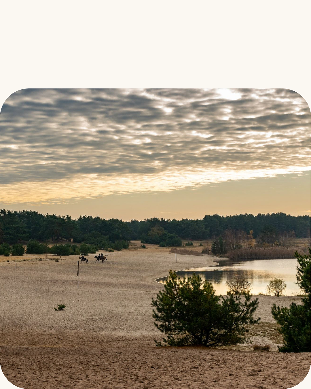 Europarcs Zilverstrand sfeerfoto 4