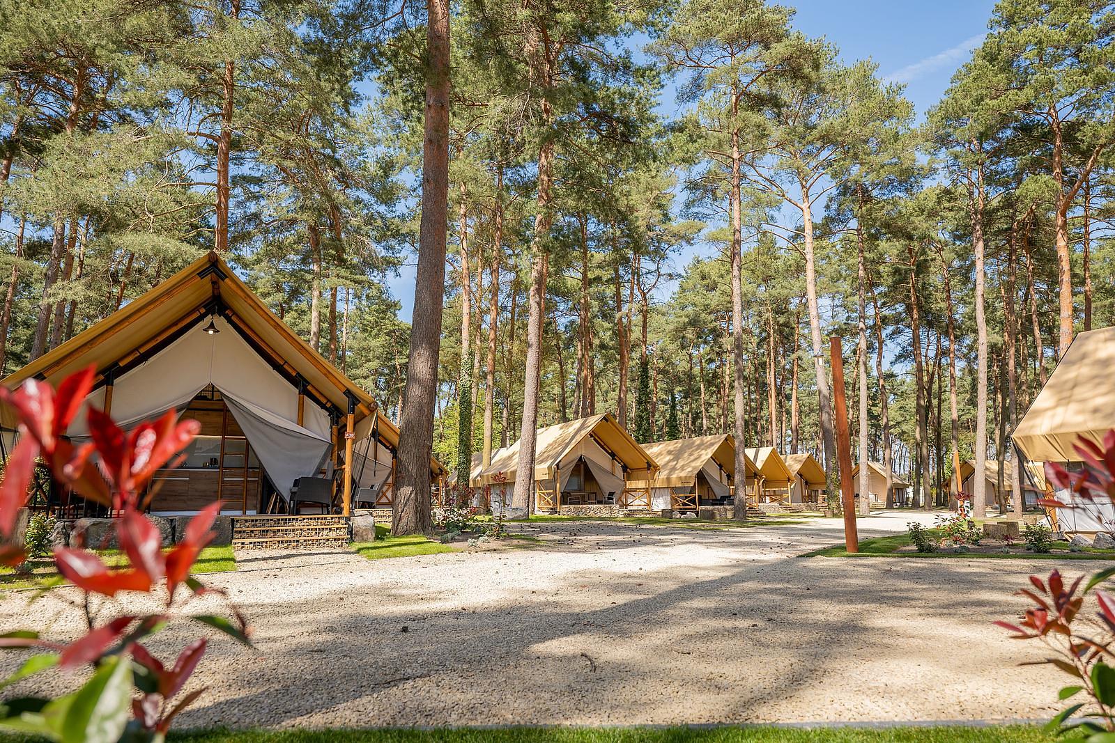 Europarcs Hoge Kempen sfeerfoto 2