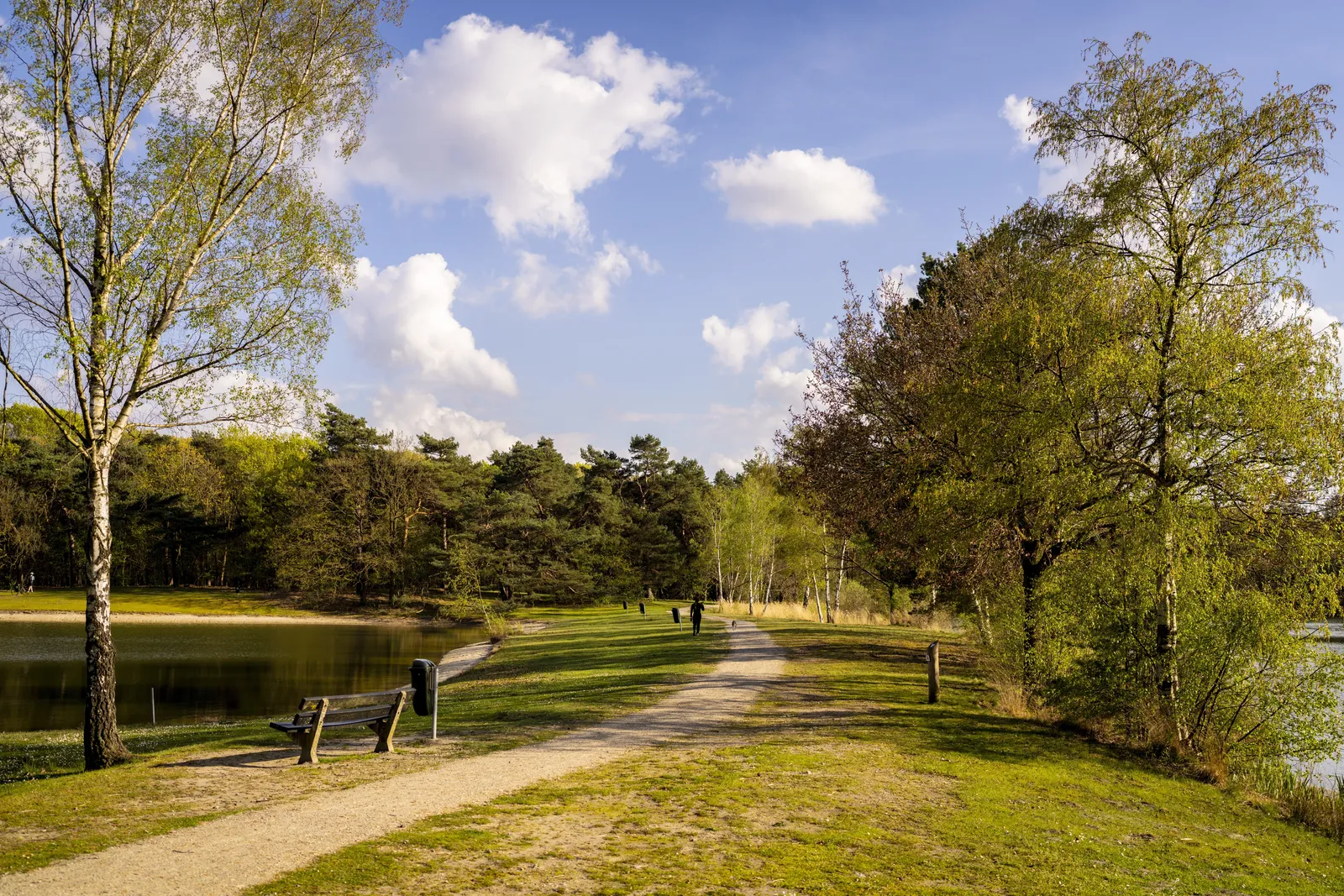 Landal Bospark 't Wolfsven sfeerfoto 3