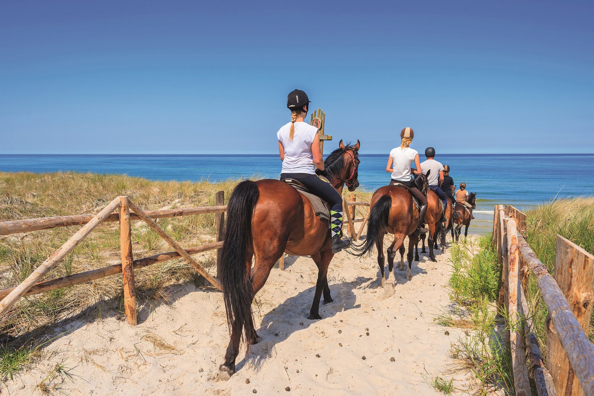 Foto van vakantiepark Dormio Resort Berck-sur-Mer