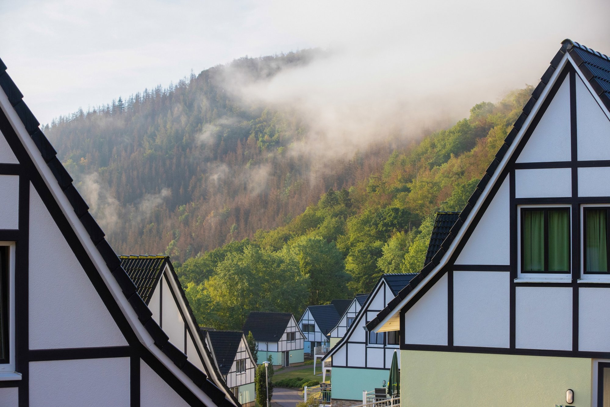 Dormio Resort Eifeler Tor sfeerfoto 4
