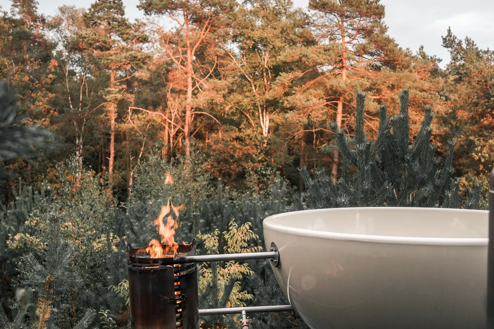 Landal Cuber Veluwe sfeerfoto 2