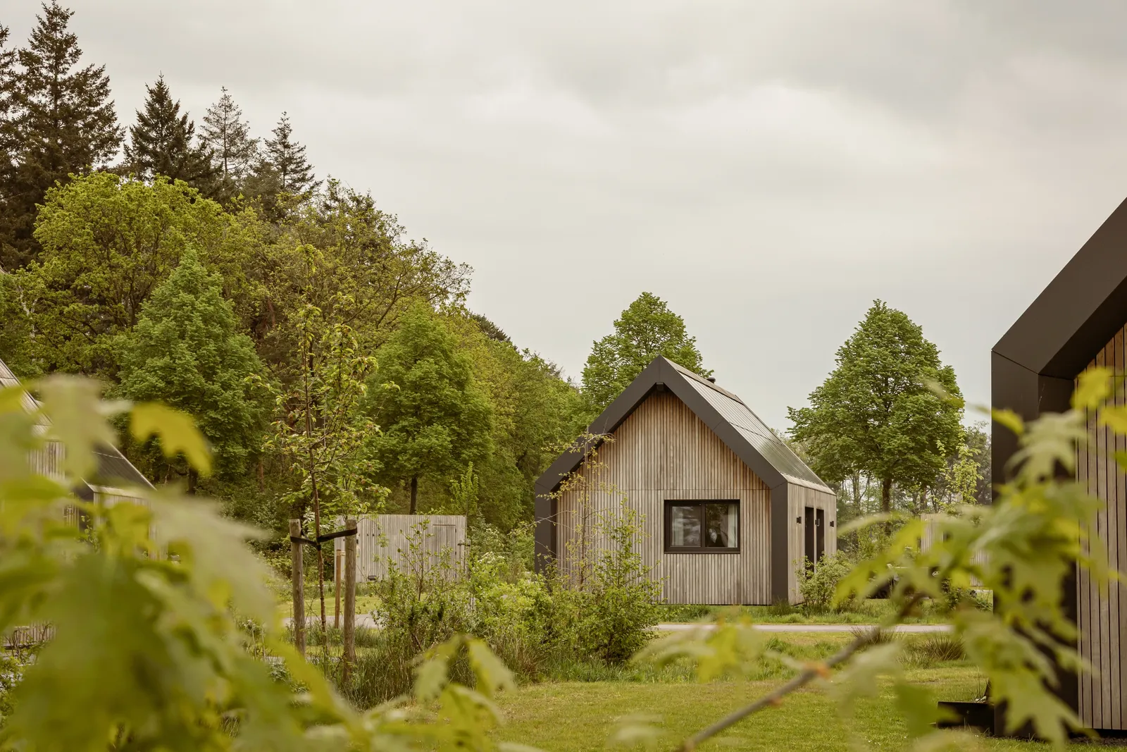 Foto van vakantiepark Landal De Weelderik