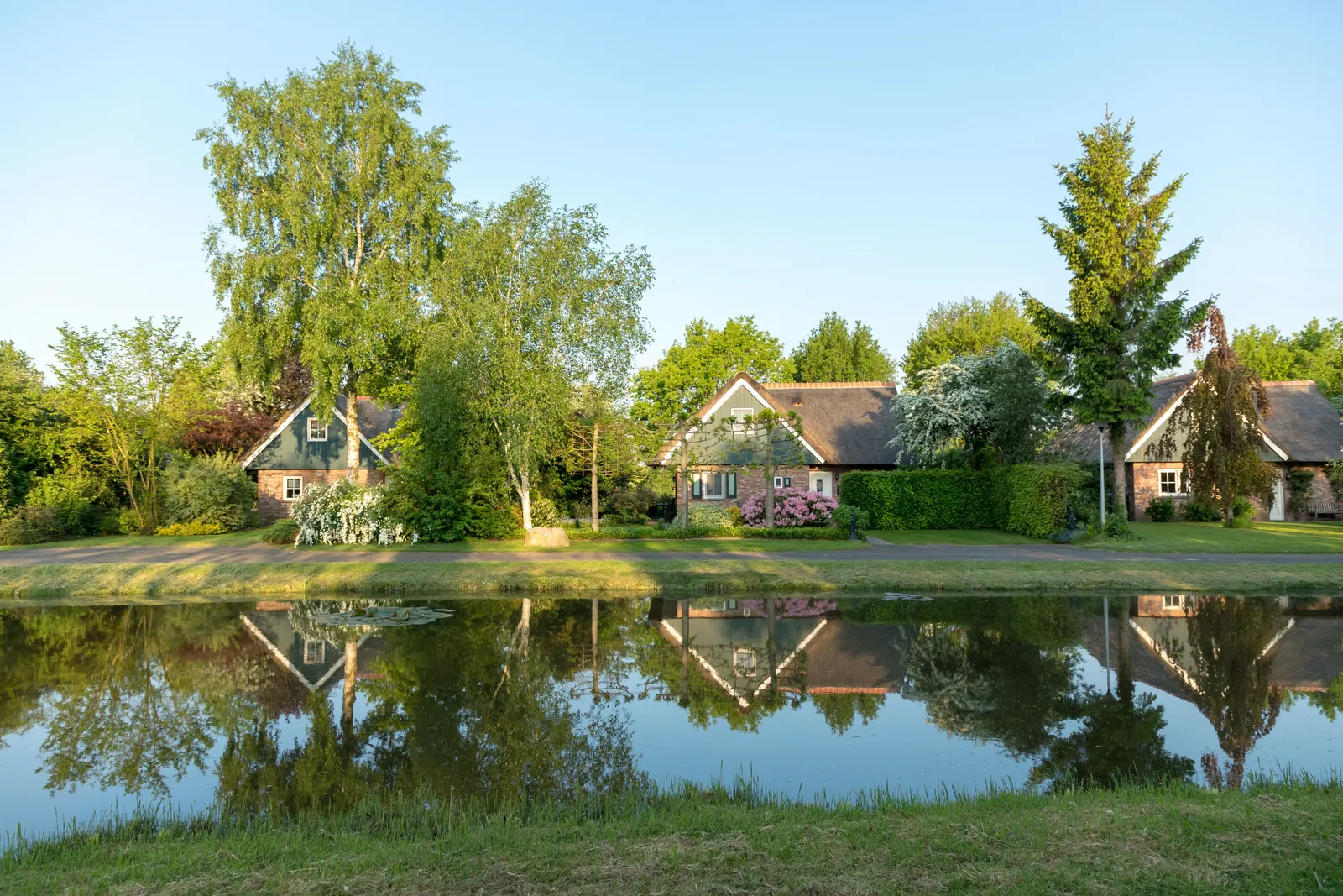 Landal Villapark de Weerribben sfeerfoto 4