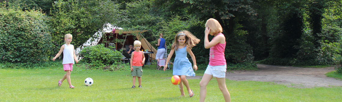 Foto van vakantiepark Molecaten Park Landgoed Molecaten