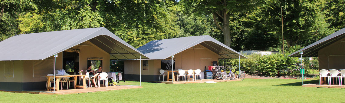 Molecaten Park Bosbad Hoeven sfeerfoto 4