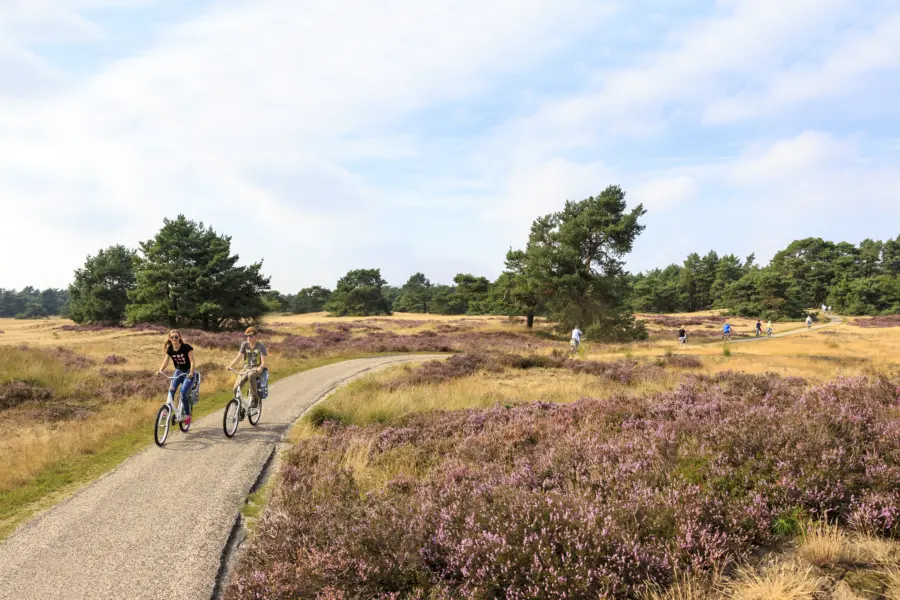 Foto van vakantiepark Ardoer Haeghehorst