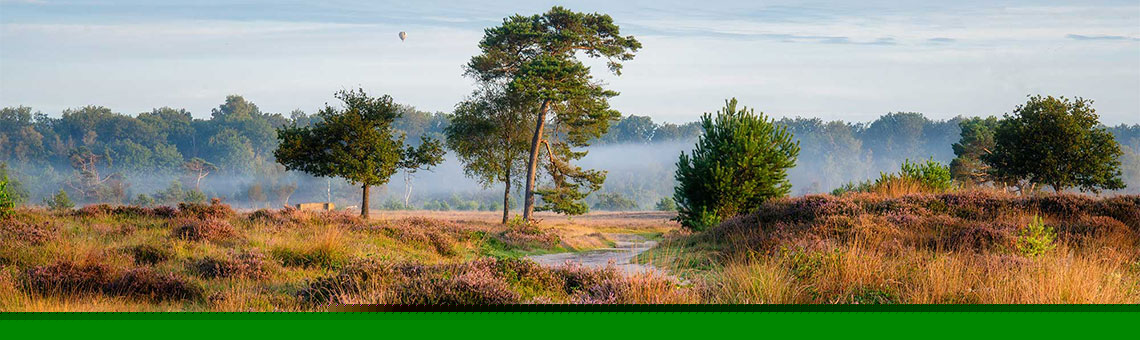 Foto van vakantiepark Molecaten Park Landgoed Ginkelduin