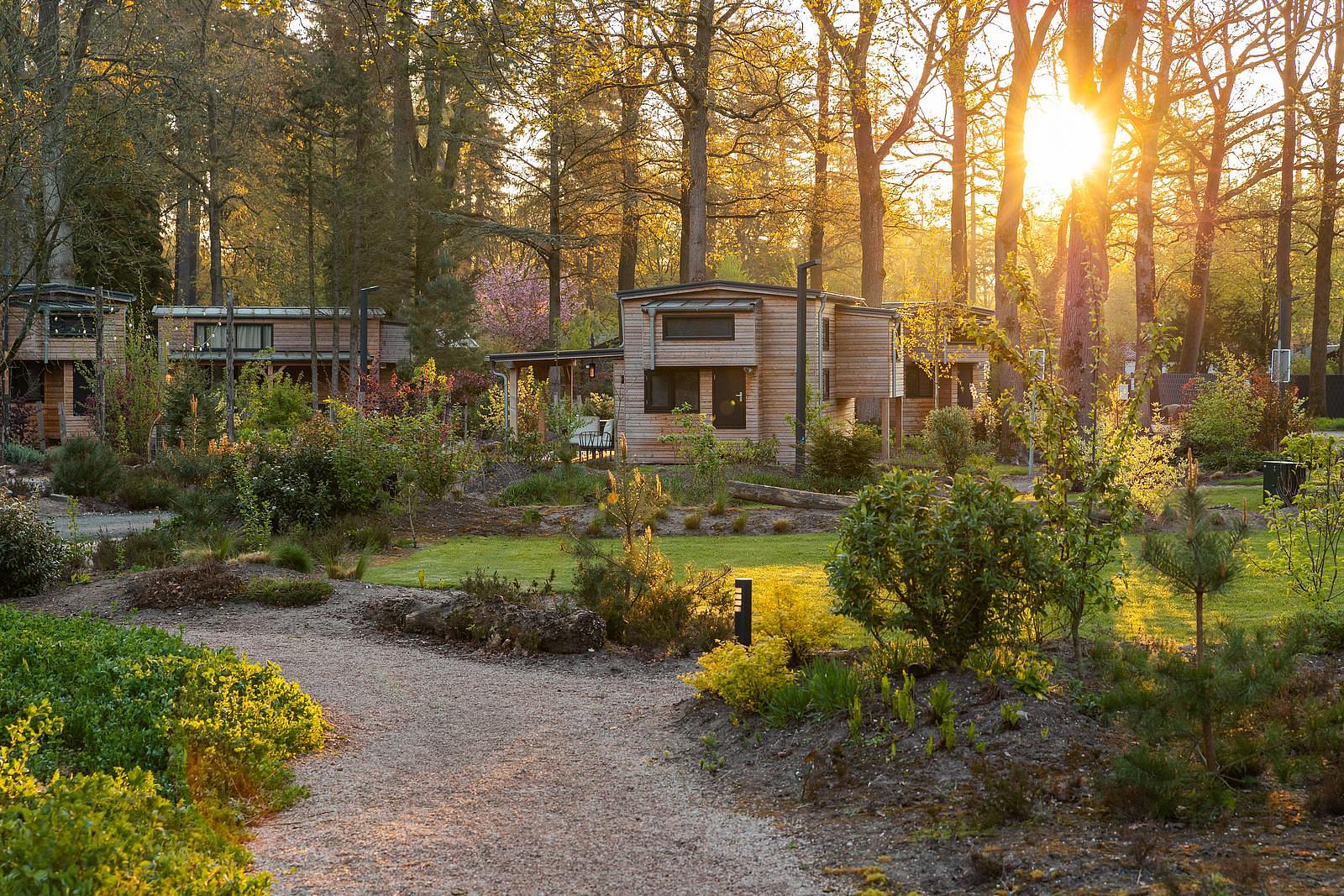 Europarcs De Utrechtse Heuvelrug sfeerfoto 3