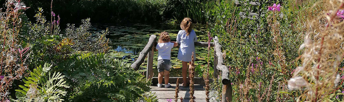 Foto van vakantiepark Molecaten Park Bosbad Hoeven