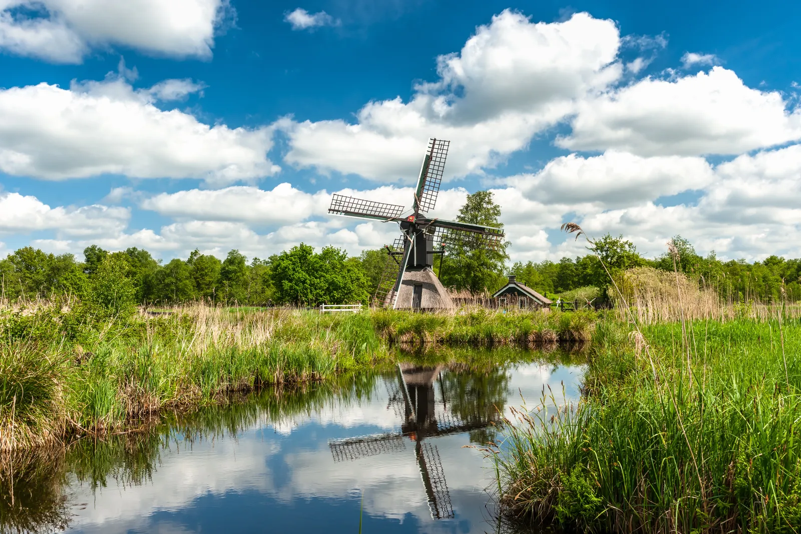 Landal Sallandse Heuvelrug sfeerfoto 4
