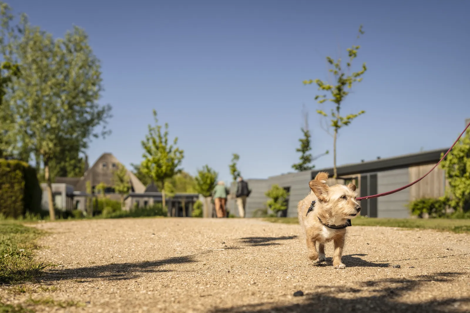Landal Park Wijdenes sfeerfoto 3