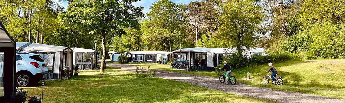 Foto van vakantiepark Molecaten Park De Koerberg