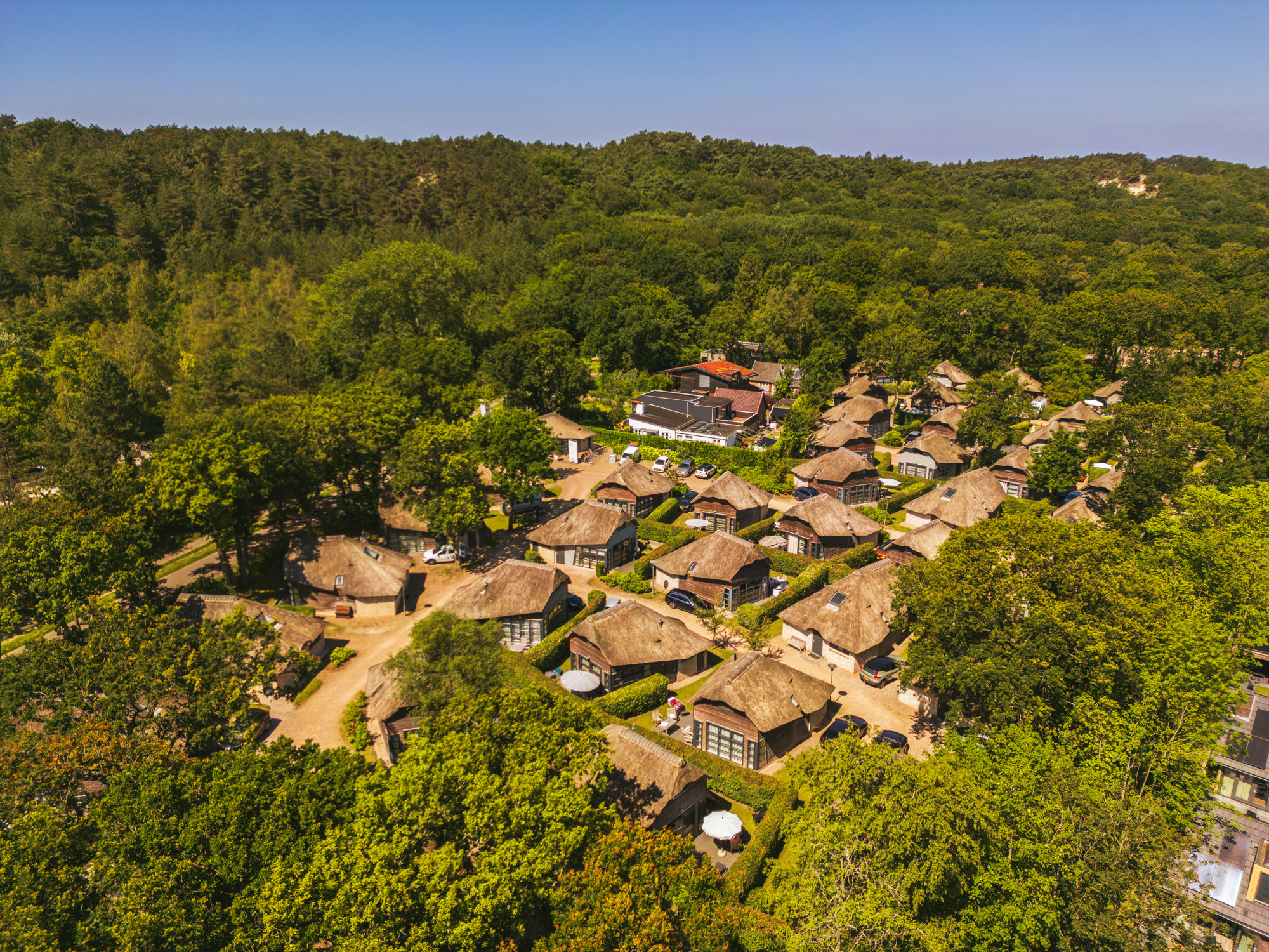 Foto van vakantiepark Dormio Park Scorleduyn
